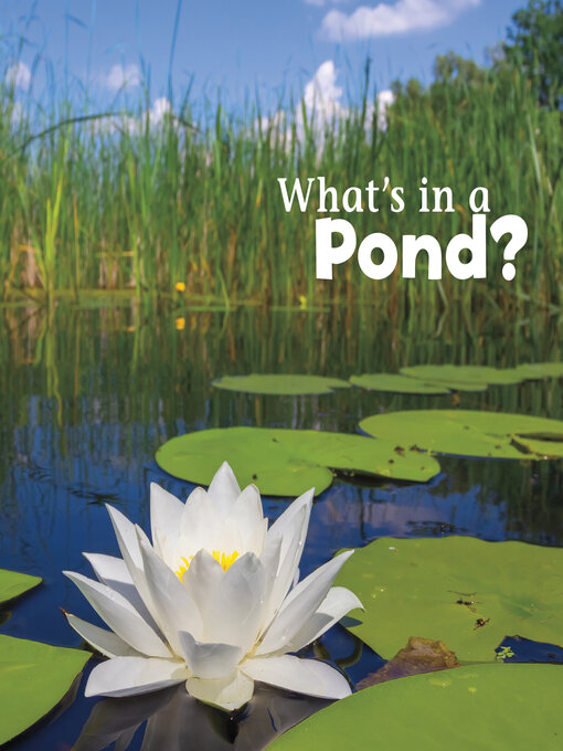 Title details for What's in a Pond? by Martha E. H. Rustad - Available